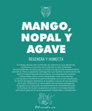 Load image into Gallery viewer, MANGO, NOPAL Y AGAVE
