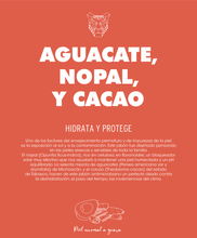 Load image into Gallery viewer, AGUACATE, NOPAL Y CACAO
